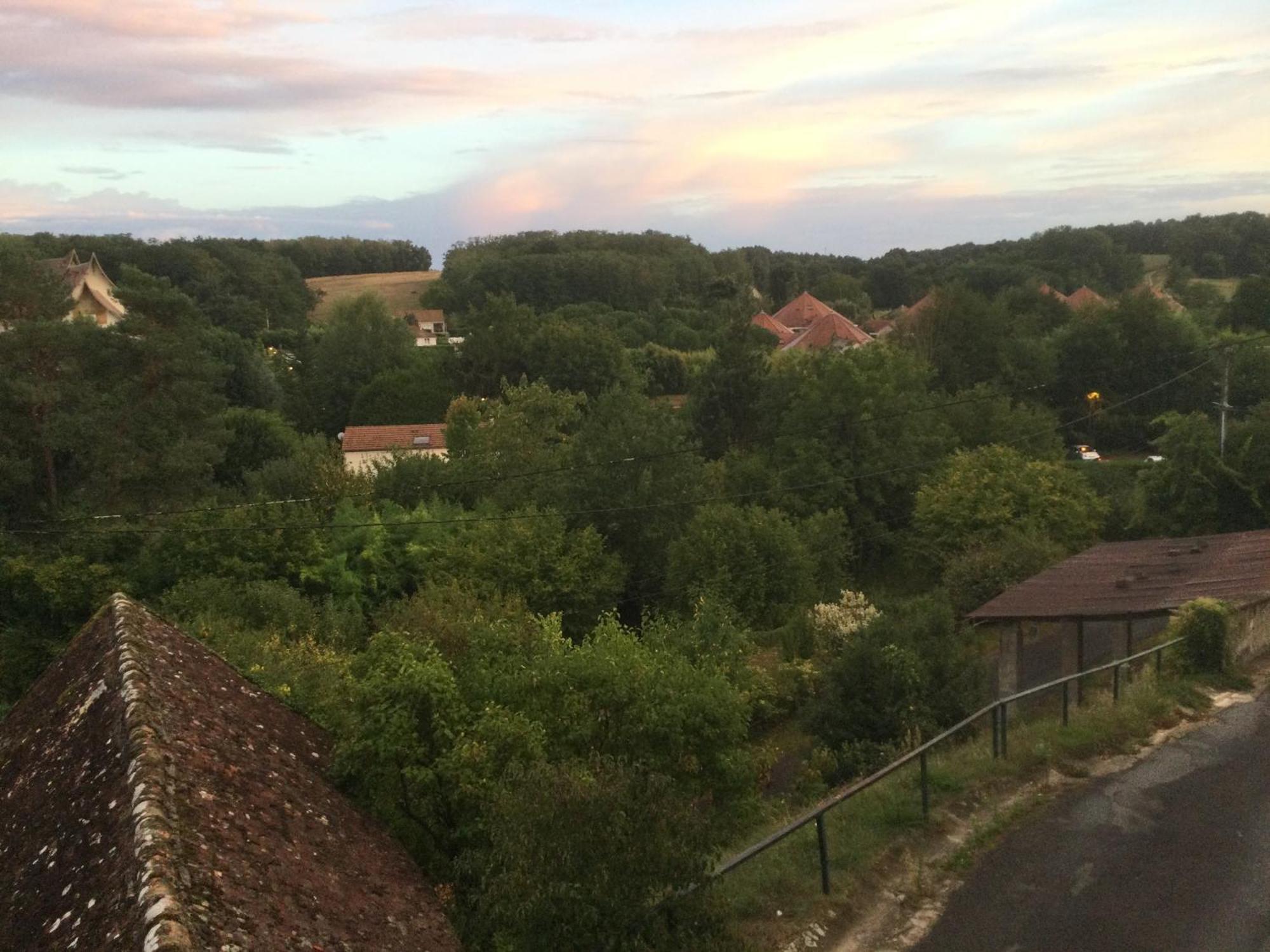 Un De Grenier,a 200m Du Zoo Saint-Aignan (Loir-et-Cher)