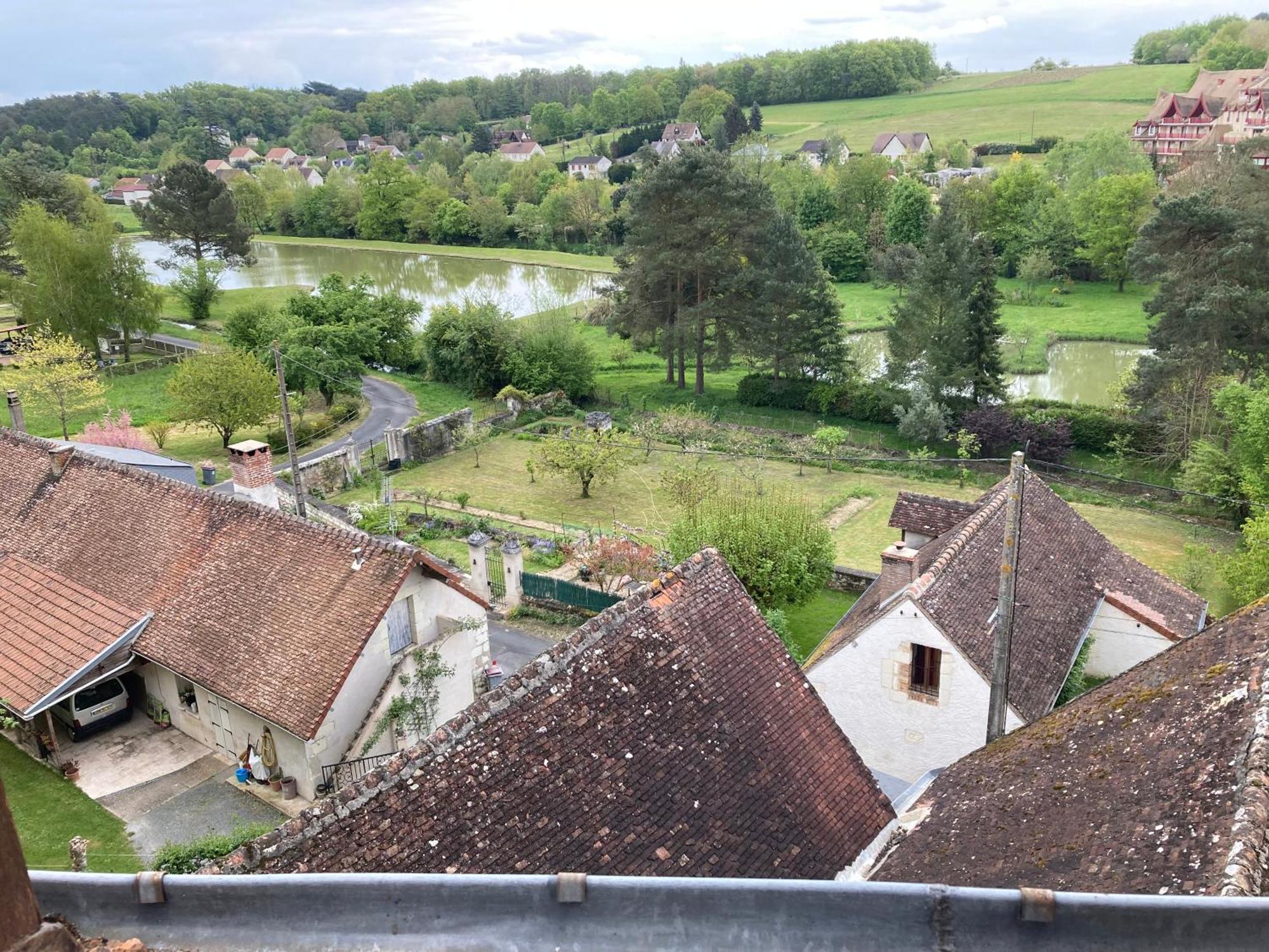 Un De Grenier,a 200m Du Zoo Saint-Aignan (Loir-et-Cher)