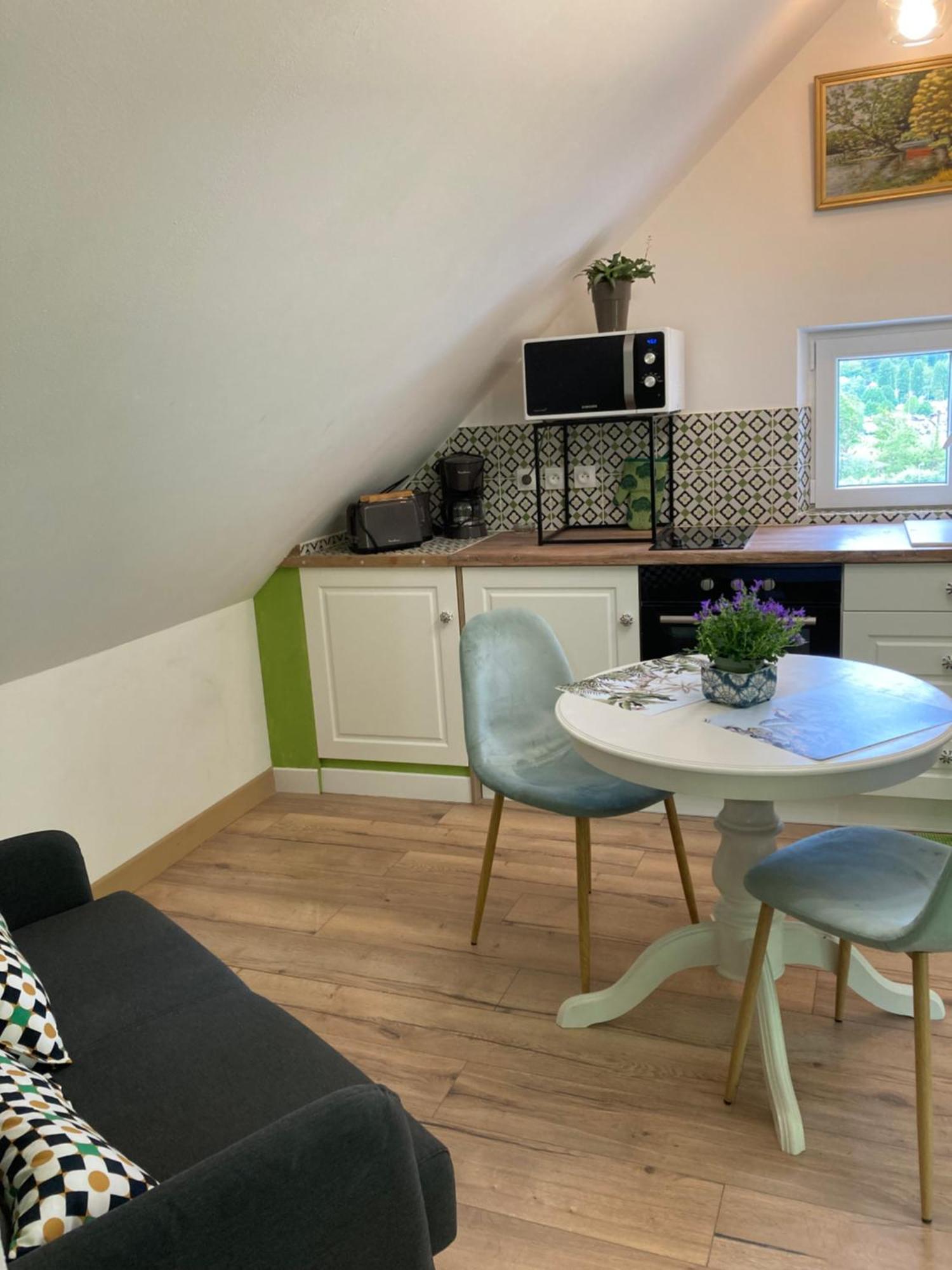 Apartamento Un De Grenier,a 200m Du Zoo